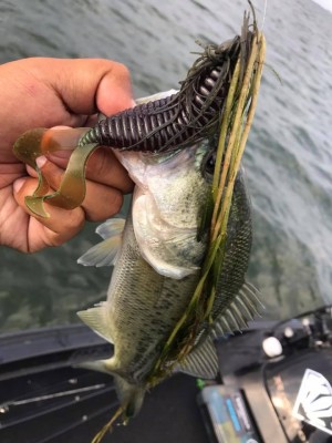 hideup 永野総一朗 ブログ写真 2017/09/09