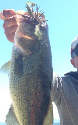 hideup 永野総一朗 ブログ写真 2015/06/04