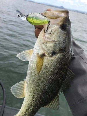 hideup 永野総一朗 ブログ写真 2017/11/12