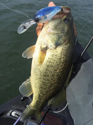 hideup 永野総一朗 ブログ写真 2016/10/17