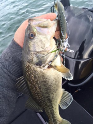 hideup 永野総一朗 ブログ写真 2016/04/03