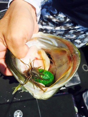 hideup 永野総一朗 ブログ写真 2016/08/04