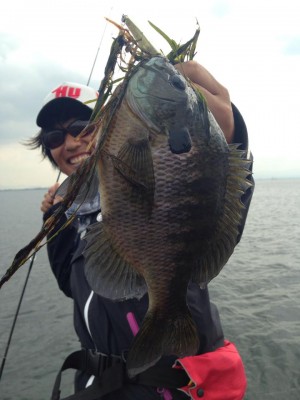 hideup 永野総一朗 ブログ写真 2014/11/13