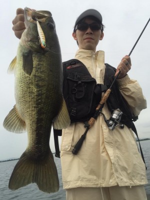 hideup 豌ｸ驥守ｷ丈ｸ譛� 繝悶Ο繧ｰ蜀咏悄 2015/09/01