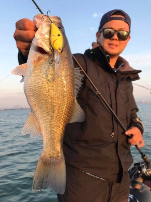 hideup 永野総一朗 ブログ写真 2017/11/03