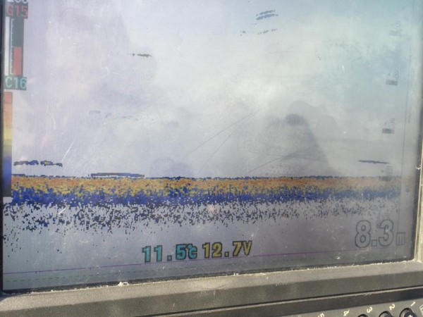 hideup 永野総一朗 ブログ写真 2016/12/09