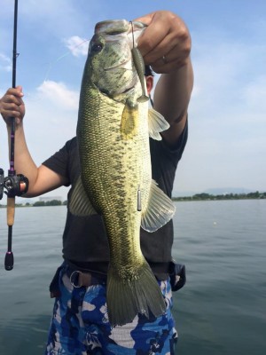 hideup 永野総一朗 ブログ写真 2016/05/25