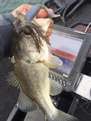 hideup 永野総一朗 ブログ写真 2016/12/01