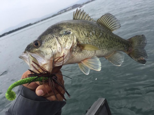 hideup 永野総一朗 ブログ写真 2017/04/17