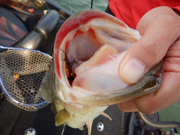 hideup 永野総一朗 ブログ写真 2017/12/07