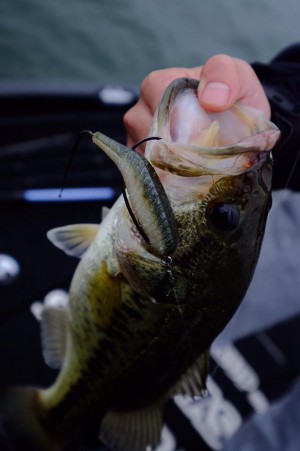 hideup 永野総一朗 ブログ写真 2017/05/10