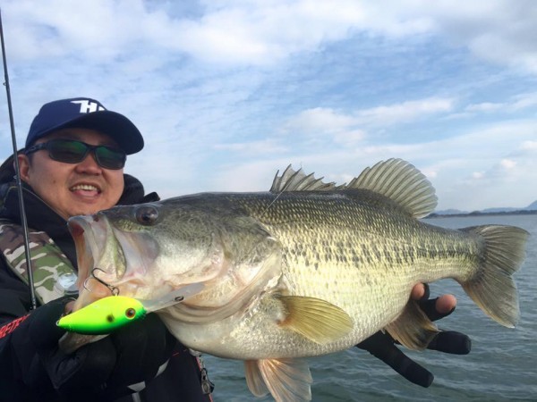 hideup 豌ｸ驥守ｷ丈ｸ譛� 繝悶Ο繧ｰ蜀咏悄 2016/11/17