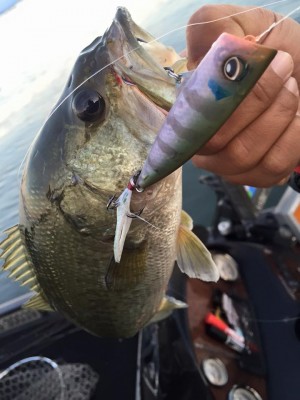 hideup 永野総一朗 ブログ写真 2016/06/05