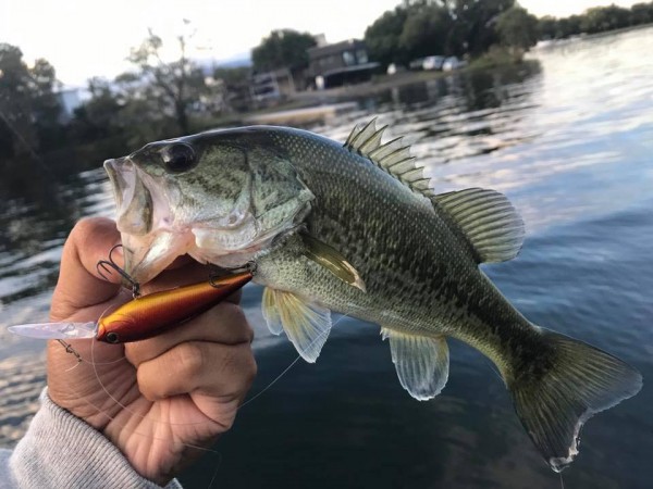 hideup 永野総一朗 ブログ写真 2017/10/17