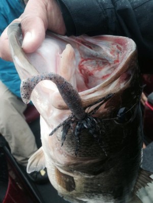 hideup 永野総一朗 ブログ写真 2014/11/26