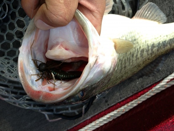 hideup 永野総一朗 ブログ写真 2013/03/15