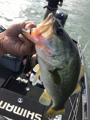 hideup 永野総一朗 ブログ写真 2017/08/05