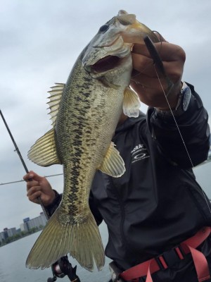 hideup 永野総一朗 ブログ写真 2016/05/09