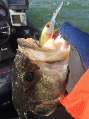 hideup 永野総一朗 ブログ写真 2016/12/15