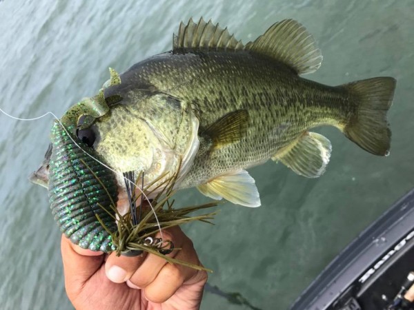 hideup 永野総一朗 ブログ写真 2017/08/14