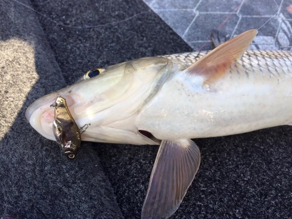 hideup 永野総一朗 ブログ写真 2015/12/26