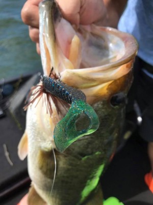 hideup 永野総一朗 ブログ写真 2017/08/12