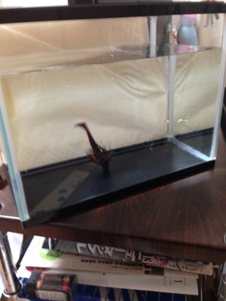 hideup 永野総一朗 ブログ写真 2014/02/15