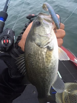 hideup 永野総一朗 ブログ写真 2015/11/14