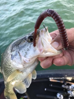 hideup 永野総一朗 ブログ写真 2017/11/25