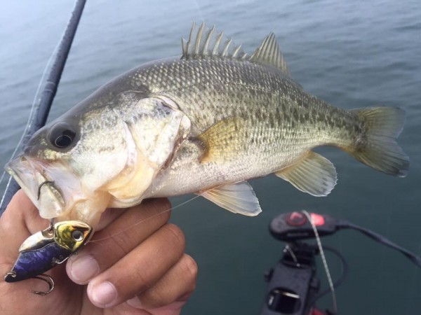 hideup 永野総一朗 ブログ写真 2015/11/08