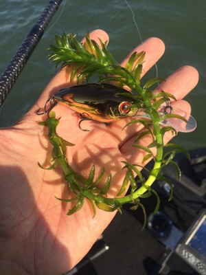 hideup 永野総一朗 ブログ写真 2016/11/05