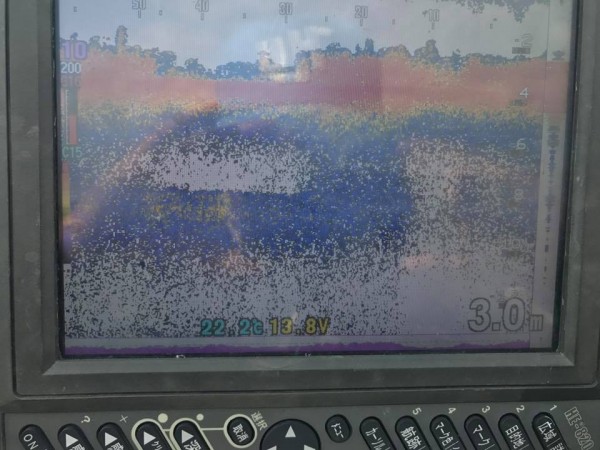 hideup 永野総一朗 ブログ写真 2017/06/14