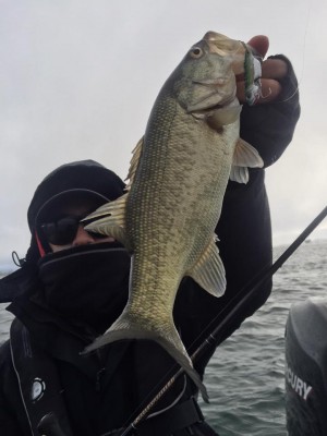 hideup 永野総一朗 ブログ写真 2017/02/15