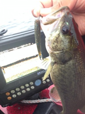 hideup 永野総一朗 ブログ写真 2014/09/25