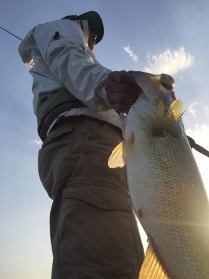 hideup 永野総一朗 ブログ写真 2017/05/08