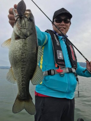 hideup 永野総一朗 ブログ写真 2017/06/19