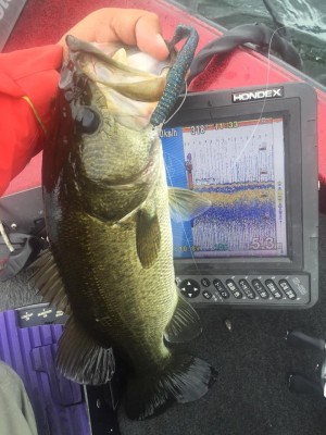 hideup 永野総一朗 ブログ写真 2015/09/07