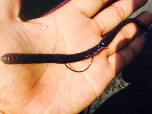 hideup 永野総一朗 ブログ写真 2015/07/10