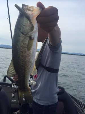 hideup 永野総一朗 ブログ写真 2016/06/01