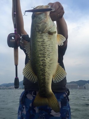 hideup 永野総一朗 ブログ写真 2016/05/25