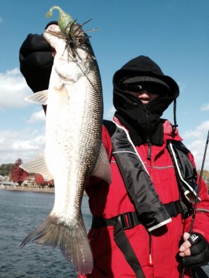 hideup 永野総一朗 ブログ写真 2014/12/02