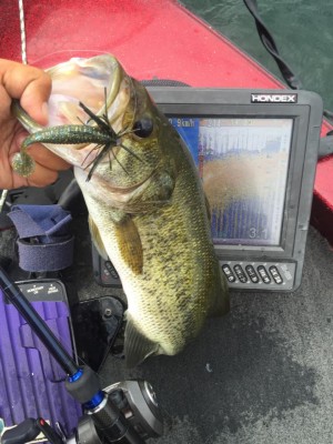 hideup 永野総一朗 ブログ写真 2015/08/22