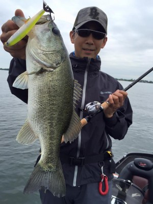 hideup 永野総一朗 ブログ写真 2016/06/09