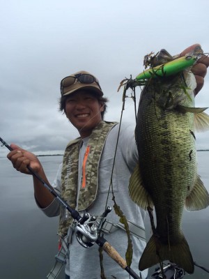 hideup 豌ｸ驥守ｷ丈ｸ譛� 繝悶Ο繧ｰ蜀咏悄 2016/09/20