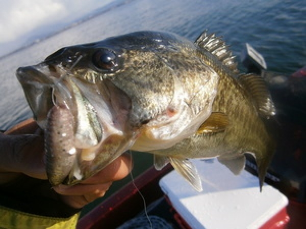 hideup 永野総一朗 ブログ写真 2014/09/14