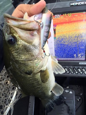 hideup 永野総一朗 ブログ写真 2016/06/09