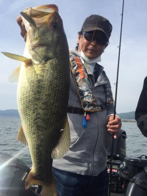 hideup 豌ｸ驥守ｷ丈ｸ譛� 繝悶Ο繧ｰ蜀咏悄 2017/05/04