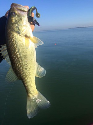 hideup 永野総一朗 ブログ写真 2015/12/02