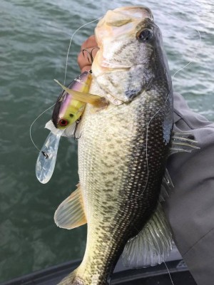 hideup 永野総一朗 ブログ写真 2017/11/11