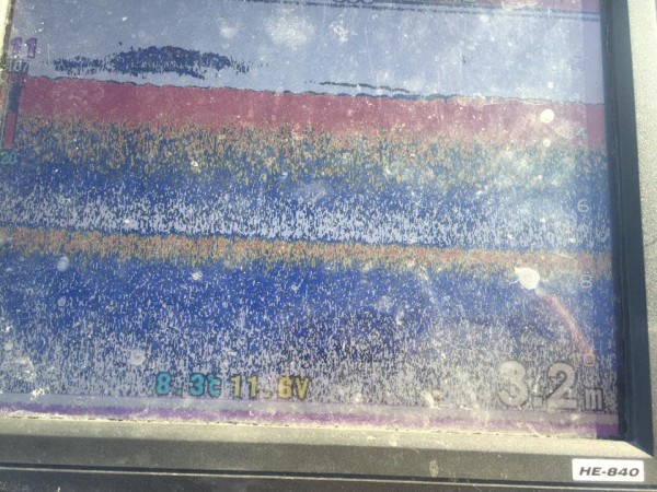 hideup 永野総一朗 ブログ写真 2017/01/08